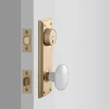 Schoolhouse Freeport Large Backplate Doorset with Porcelain Knob New