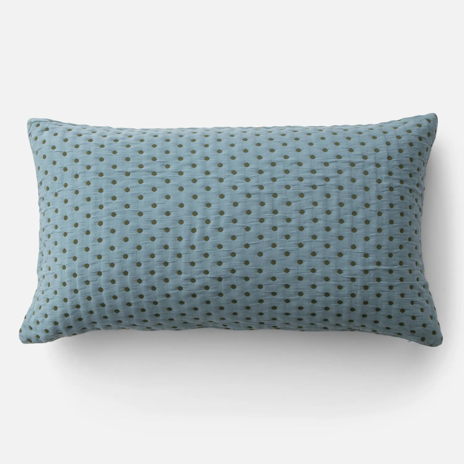 Schoolhouse Polka Dot Pillow Sham Sale